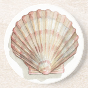 Pink and Cream Seashell Drink Coaster