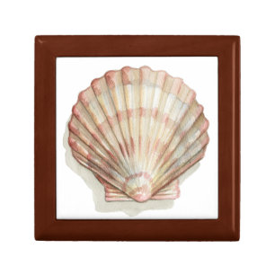 Pink and Cream Seashell Gift Box