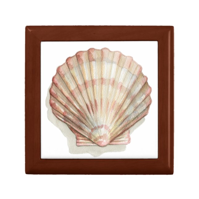 Pink and Cream Seashell Gift Box (Front)