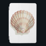 Pink and Cream Seashell iPad Mini Cover<br><div class="desc">Megan Meagher loves to paint pictures of the beautiful ocean collections. She captures the most natural yet beautiful offers of nature in sea life. In this classic and simple painting, it captures the simplicity of a beautiful cream and pink seashell. Get this piece of fine art print today to add...</div>