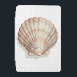 Pink and Cream Seashell iPad Mini Cover<br><div class="desc">Megan Meagher loves to paint pictures of the beautiful ocean collections. She captures the most natural yet beautiful offers of nature in sea life. In this classic and simple painting, it captures the simplicity of a beautiful cream and pink seashell. Get this piece of fine art print today to add...</div>