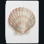 Pink and Cream Seashell iPad Smart Cover<br><div class="desc">Megan Meagher loves to paint pictures of the beautiful ocean collections. She captures the most natural yet beautiful offers of nature in sea life. In this classic and simple painting, it captures the simplicity of a beautiful cream and pink seashell. Get this piece of fine art print today to add...</div>