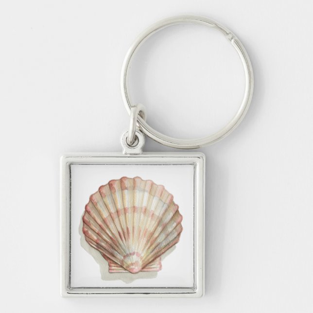 Pink and Cream Seashell Keychain (Front)
