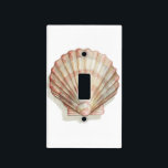 Pink and Cream Seashell Light Switch Cover<br><div class="desc">Megan Meagher loves to paint pictures of the beautiful ocean collections. She captures the most natural yet beautiful offers of nature in sea life. In this classic and simple painting, it captures the simplicity of a beautiful cream and pink seashell. Get this piece of fine art print today to add...</div>