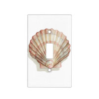 Pink and Cream Seashell