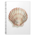 Pink and Cream Seashell Notebook