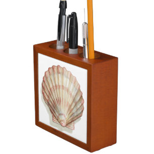 Pink and Cream Seashell Pencil Holder