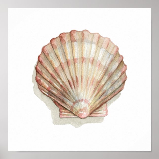 Pink and Cream Seashell Poster (Front)