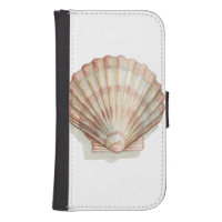 Pink and Cream Seashell