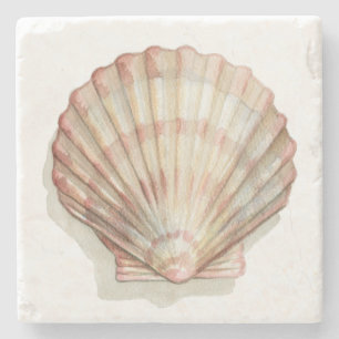 Pink and Cream Seashell Stone Coaster