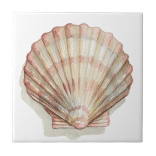 Pink and Cream Seashell Tile