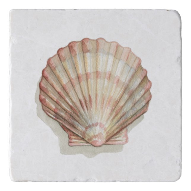Pink and Cream Seashell Trivet (Front)