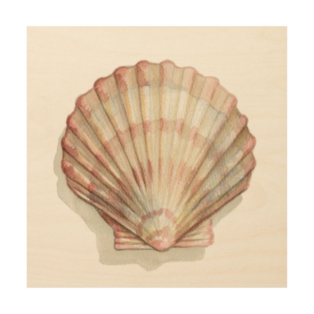 Pink and Cream Seashell Wood Wall Art (Front)