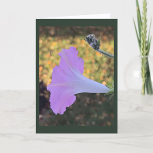 Pink and Gold Sparkle Morning Glory Blank Card