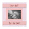 Pink and Gray Girl Baby Shower