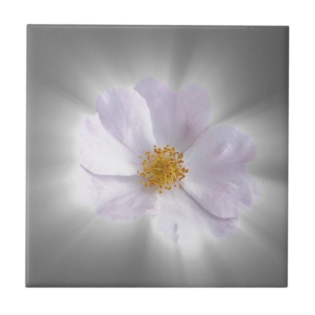 pink and gray tile (Front)