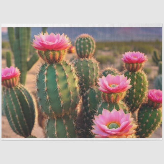 Pink and Green Cactus Decoupage Paper Arizona  (Front)