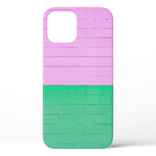 PINK AND GREEN PAINTED WALL iPhone 12 CASE