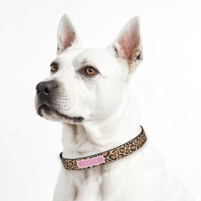 Pink and Leopard Print Custom Monogram Pet Collar (Creator Uploaded)
