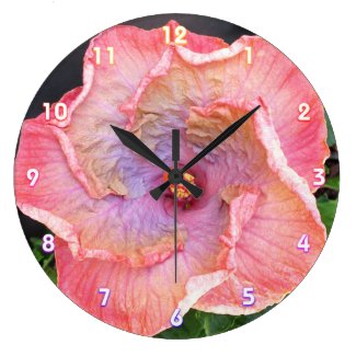Pink and Lilac Hibiscus Blossom Floral Botanical