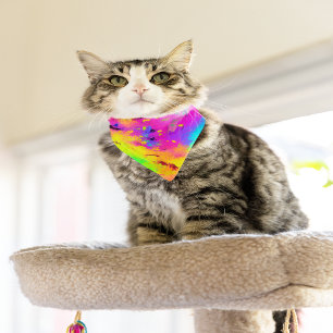Pink And More Abstract Splash Paint Pet Bandana