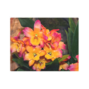 Pink and Orange Orchids Metal Wall Art