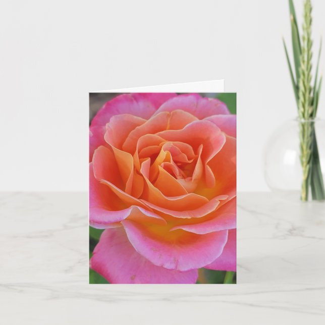 Pink and Orange Rose Personalized Greeting Card (Front)