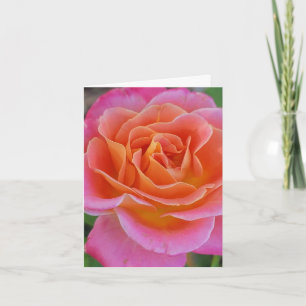 Pink and Orange Rose Personalized Greeting Card