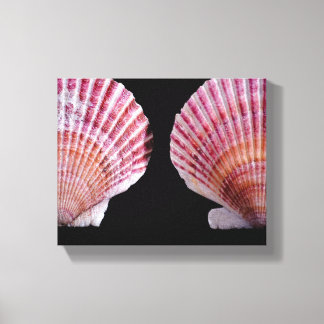 Pink and Orange Scallops Canvas Print