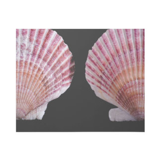 Pink and Orange Scallops Gallery Wrap