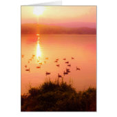 Pink and peach lake sunset (Front)