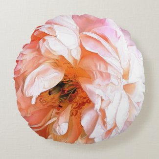 Pink and Peach Peony Up Close and Personal