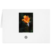 Pink and Peach Rose Card (Back Horizontal)