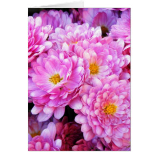 "Pink and Pretty Mums" Cards
