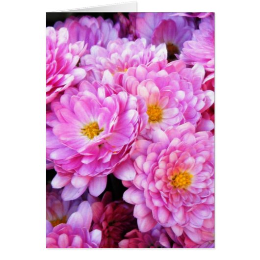 "Pink and Pretty Mums" Cards (Front)