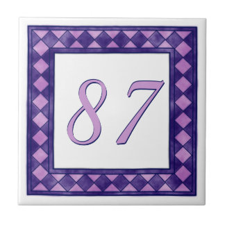 Pink and Purple Big Checkered House Number Tile
