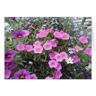 "Pink and Purple" Cards