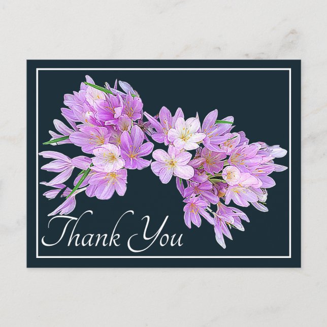 Pink and Purple Crocuses Gray Backdrop Thank You Postcard (Front)