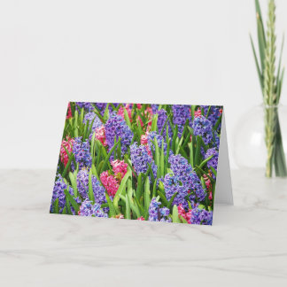 Pink and purple hyacinth greeting card