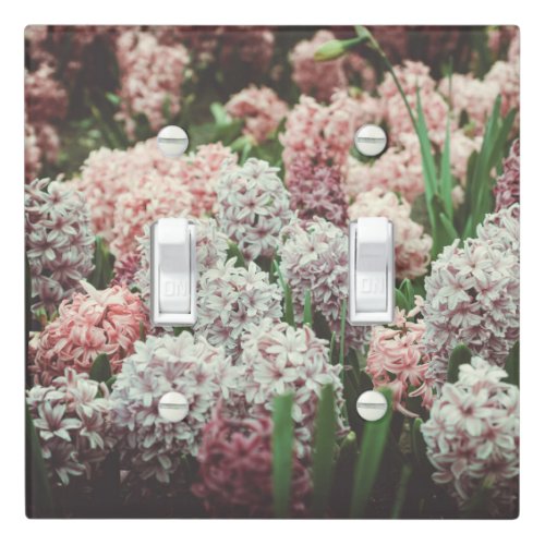Pink and Purple Hyacinth in the Spring Garden Light Switch Cover