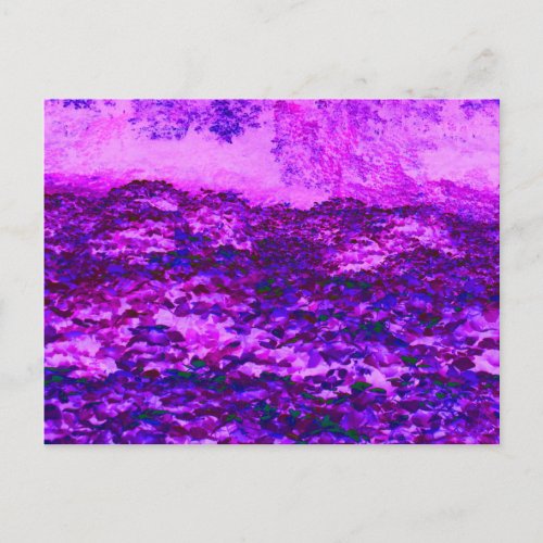 Pink and Purple Kudzu Vines Postcard