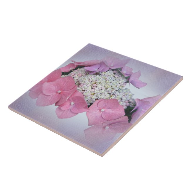Pink and Purple Lace Cap Hydrangea Flowers Tile (Side)