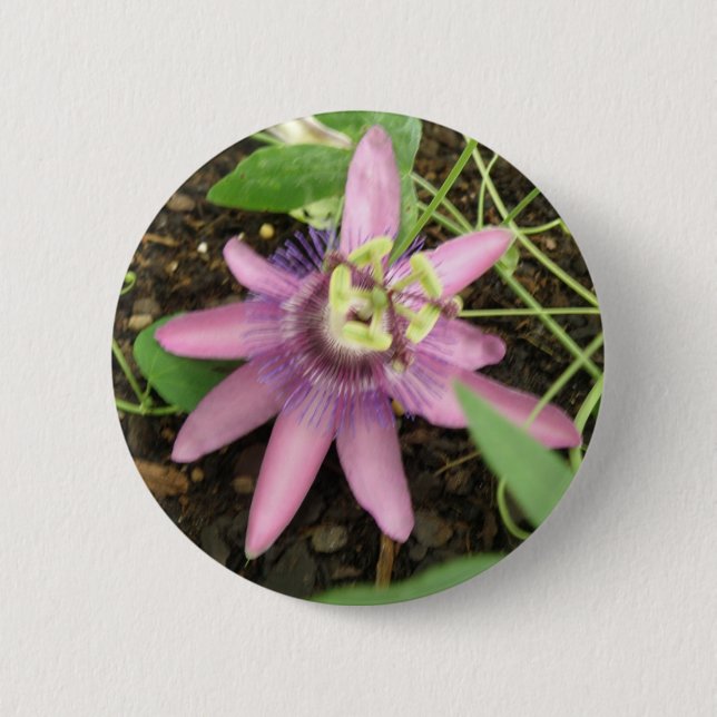 Pink and Purple Passionflower Button (Front)