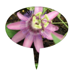 Pink and Purple Passionflower Cake Pick