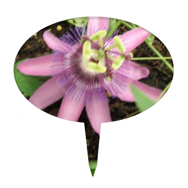 Pink and Purple Passionflower Cake Pick (Front)