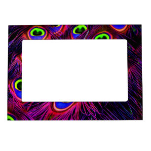 Pink and purple peacock feather texture design magnetic frame