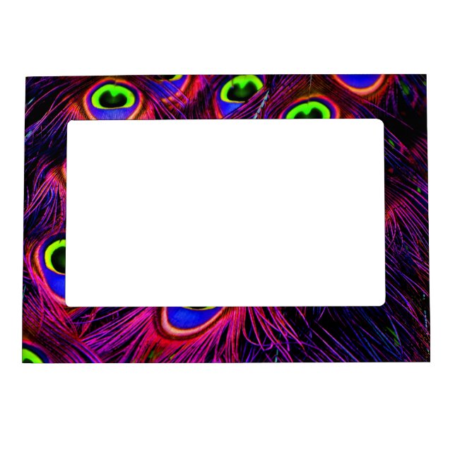 Pink and purple peacock feather texture design magnetic frame (Front)