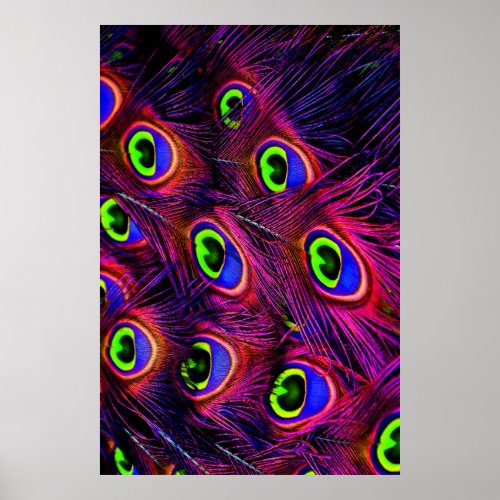 Pink and purple peacock feather texture design poster
