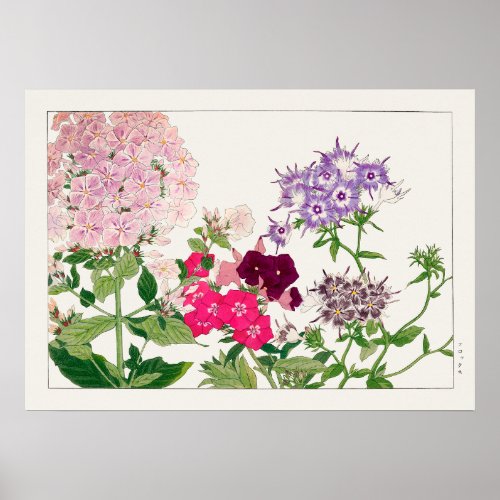 Pink and Purple Phlox Flowers by Tanigami Konan Poster