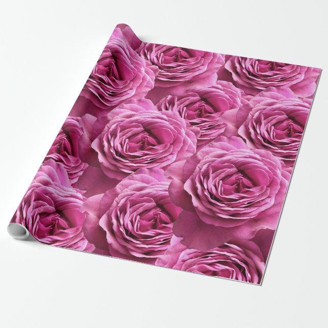Pink and purple roses patterns wrapping paper (Unrolled)